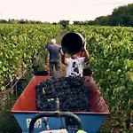Masseria Pietra E Terra Carovigno